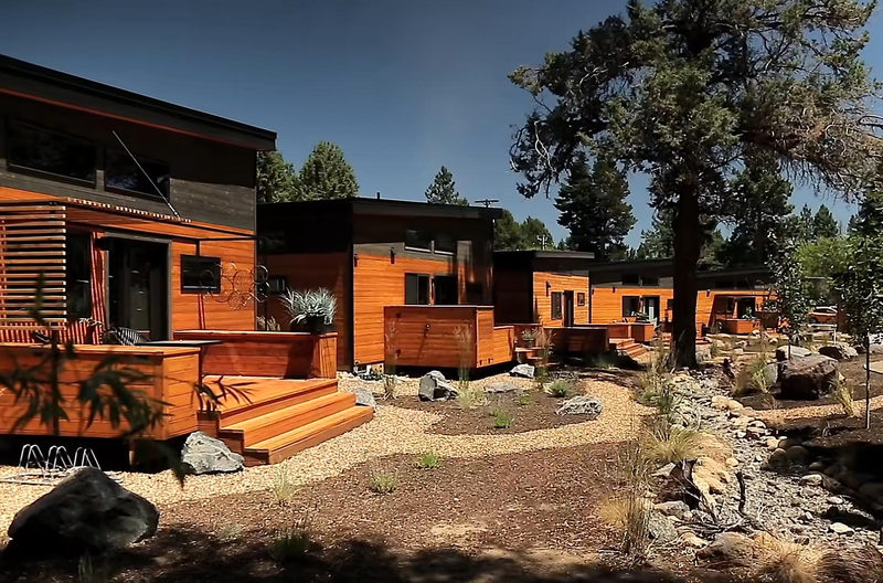 Cedar tiny homes among pines